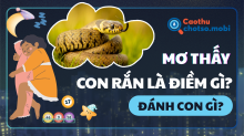 Nằm mơ thấy rắn: Tiết lộ ý nghĩa sâu kín và con số phát tài