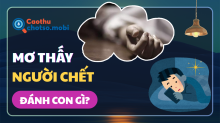 Mơ thấy người chết đánh con gì? Ý nghĩa và bộ số may mắn