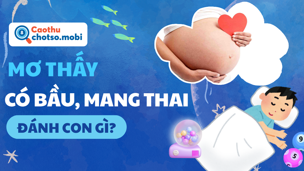 Đánh số mấy nếu ngủ mơ thấy có bầu?