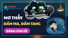 Nằm mơ thấy đám ma, đám tang: Thông điệp ẩn giấu và số đề may mắn