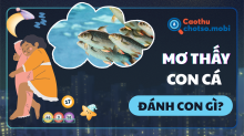 Mơ thấy cá đánh con gì? Điềm báo lành dữ qua từng giấc mộng
