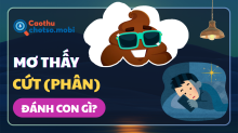 Giấc mơ thấy phân: Tiềm ẩn tài lộc hay lời cảnh báo sức khỏe?