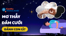 Mơ thấy đám cưới đánh con gì? Giải mộng chuẩn tâm linh