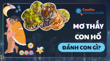 Mơ thấy hổ đánh con gì? Giải mã giấc mơ hổ đuổi, hổ vào nhà