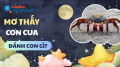 Nằm mơ thấy cua đánh con gì, là điềm gì? Giải mã chuẩn xác nhất