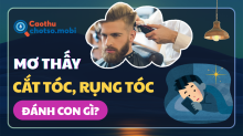 Mơ thấy cắt tóc, rụng tóc là điềm gì? Đánh con gì dễ trúng lớn?