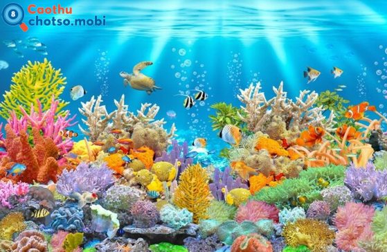 Chiêm bao thấy biển là lành hay dữ?