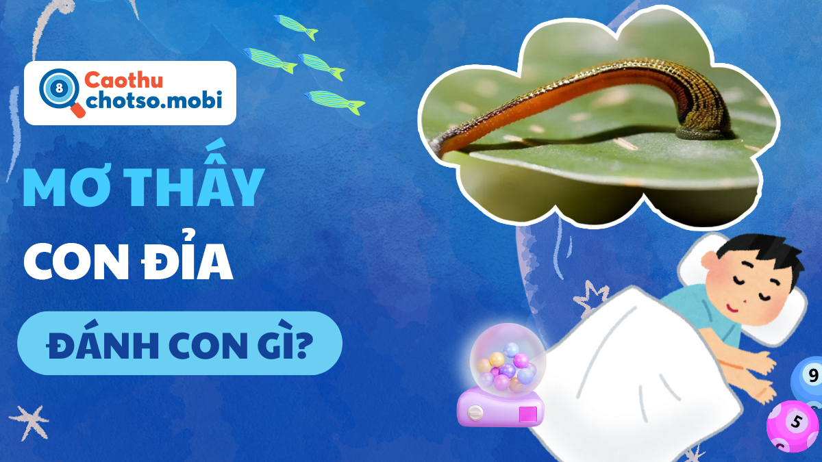 Ngủ mơ thấy đỉa đánh số bao nhiêu?