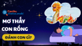 Nằm mơ thấy rồng đánh con gì? Giải mã điềm báo bất ngờ