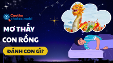 Nằm mơ thấy rồng đánh con gì? Giải mã điềm báo bất ngờ