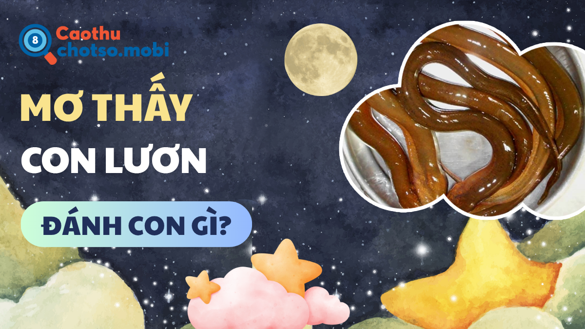 Mơ thấy lươn nên mua số mấy?