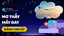 Mơ thấy máy bay: Giải mã điềm báo thăng tiến và con số tài lộc