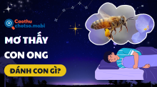 Giải mã giấc mơ thấy ong đánh con gì? 99% là điềm báo tài lộc