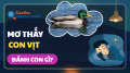 Mơ thấy con vịt, trứng vịt đánh con gì? Giải mã điềm báo chi tiết