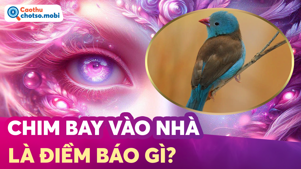 Giải mã hiện tượng chim vào nhà, chim chết Giải mã hiện tượng chim vào nhà, chim chết