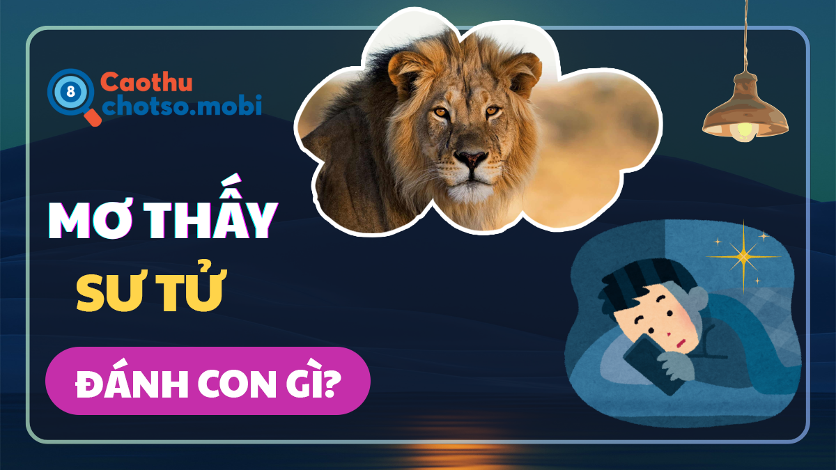 Nằm mơ thấy sư tử nên đánh số mấy? Nằm mơ thấy sư tử nên đánh số mấy?