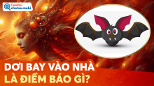 Dơi bay vào nhà là điềm gì? Giải mã Ngũ Phúc cùng số tài lộc