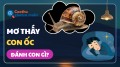Nằm mơ thấy ốc: Giải mã ý nghĩa tài lộc và con số đề bí ẩn