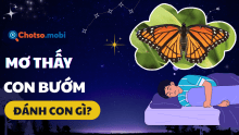 Mơ thấy bướm đánh con gì? Điềm báo tình duyên con số tài lộc