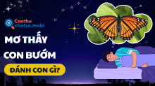 Nằm mơ thấy bướm đánh con gì? Giải mã điềm báo tình duyên, công việc