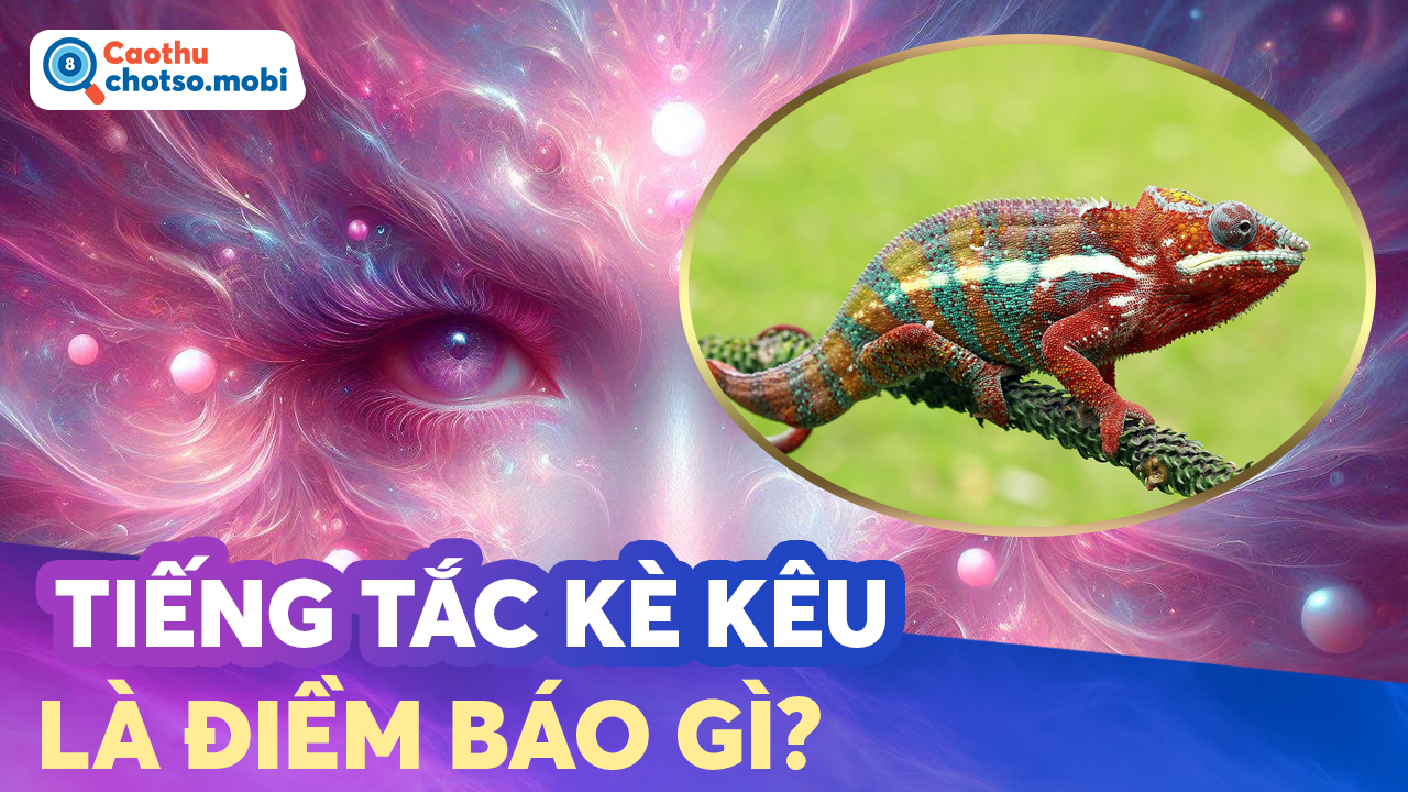 Giải mã điềm báo tâm linh tắc kè đến nhà hoặc kêu bất thường