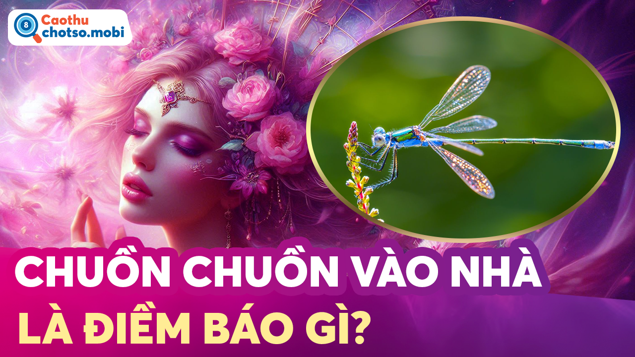 Chuồn chuồn vào nhà, đậu lên người có ý nghĩa gì?