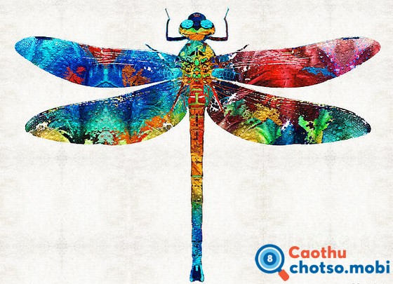 Chuồn chuồn bay vào nhà dự báo điều gì?