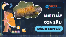 Mơ thấy sâu đánh con gì? Giải mã chi tiết điềm may vận rủi