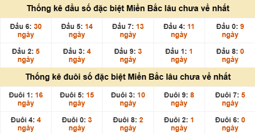 Đầu - đuôi đặc biệt lâu chưa ra